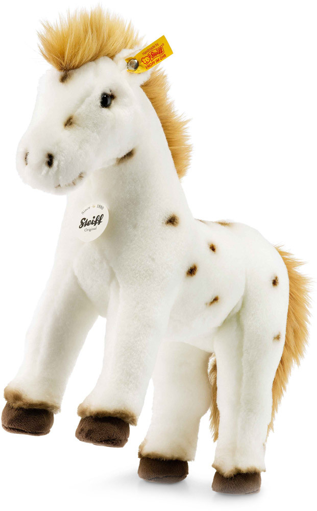 Spotty Pferd Spotty Pferd